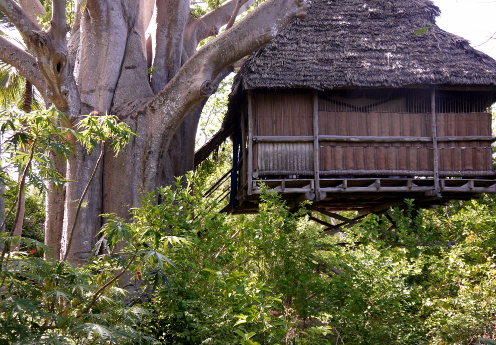 Baumhaus mit Baobab