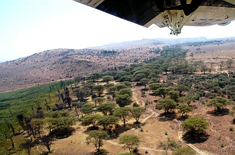 kenia-hochland-safari