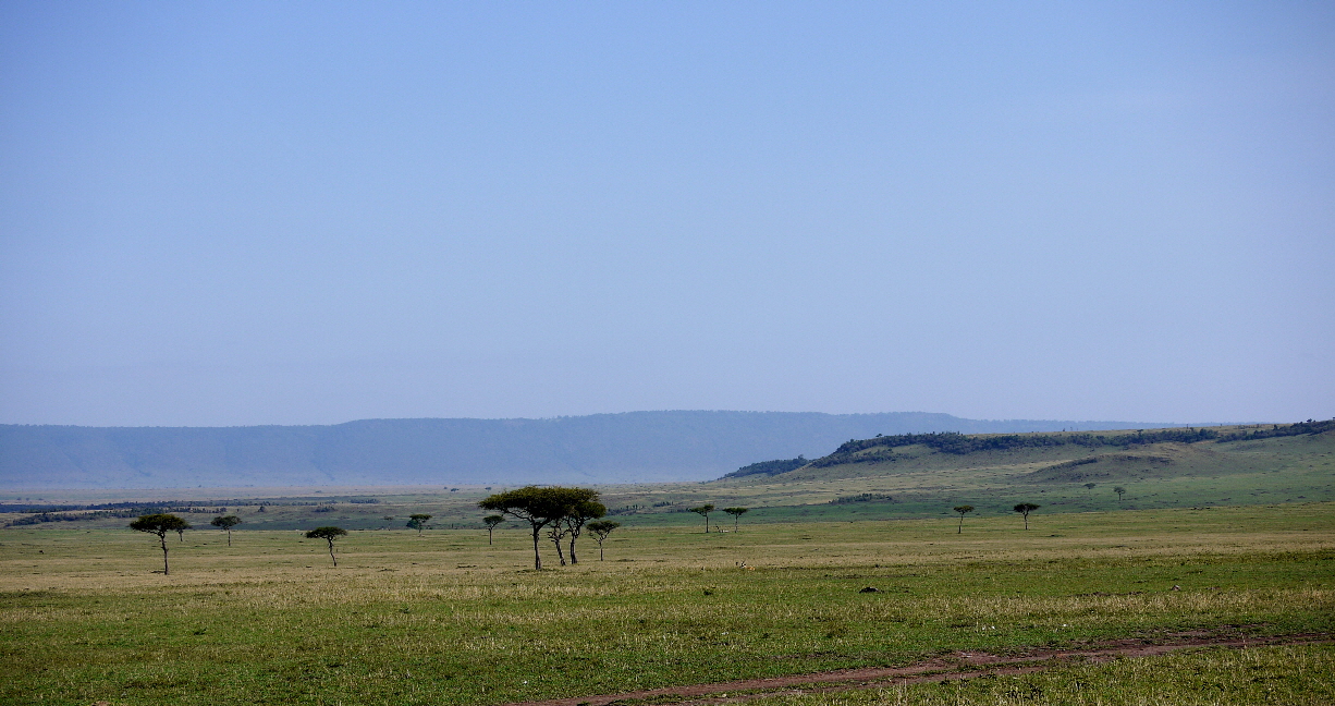 Riffgebirge Masai Mara  Kenia 