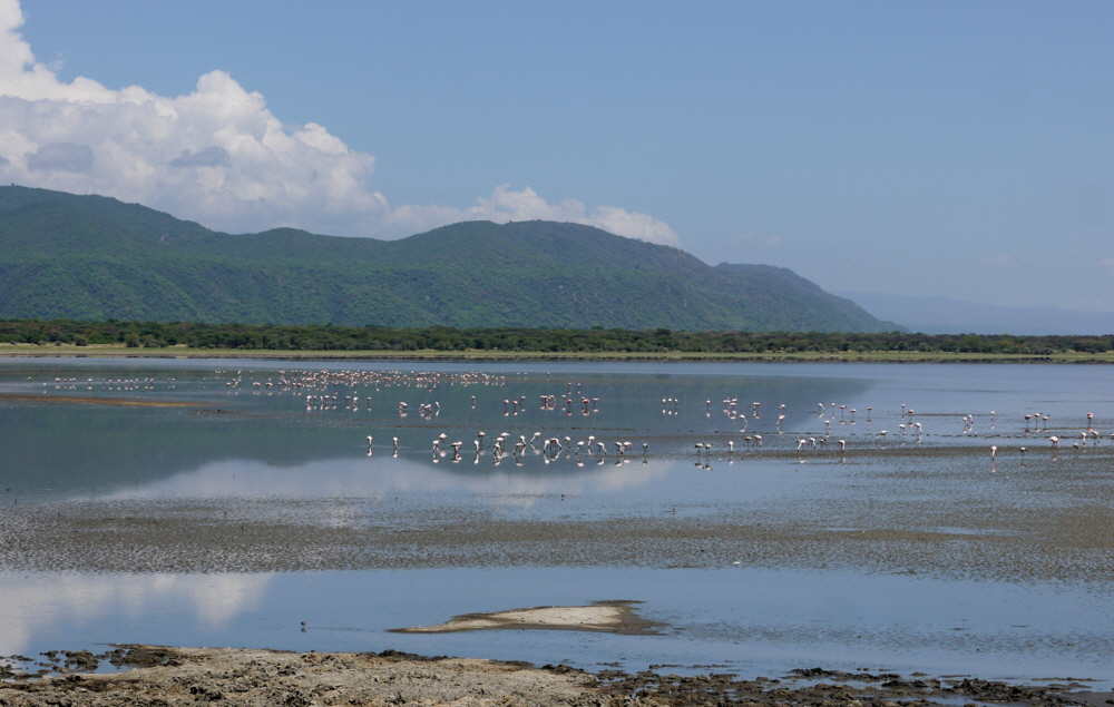 Lake Manyara Maji Moto