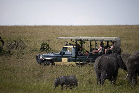 masaimara  Elephant pepper camp