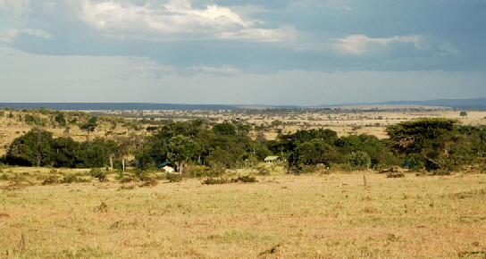offebatcamp-masaimara-kenia