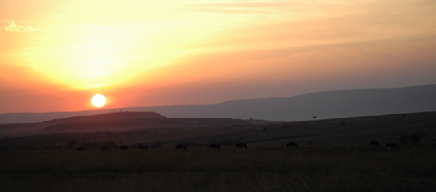 rekerocamp-masaimara-kenia