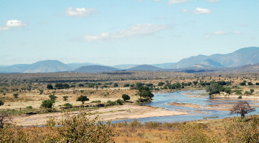 Ruaha Tansania  Safari
