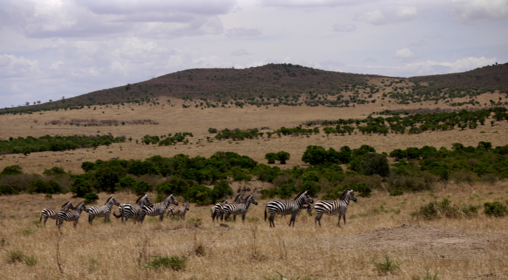 salas-camp-masai-mara Kenia