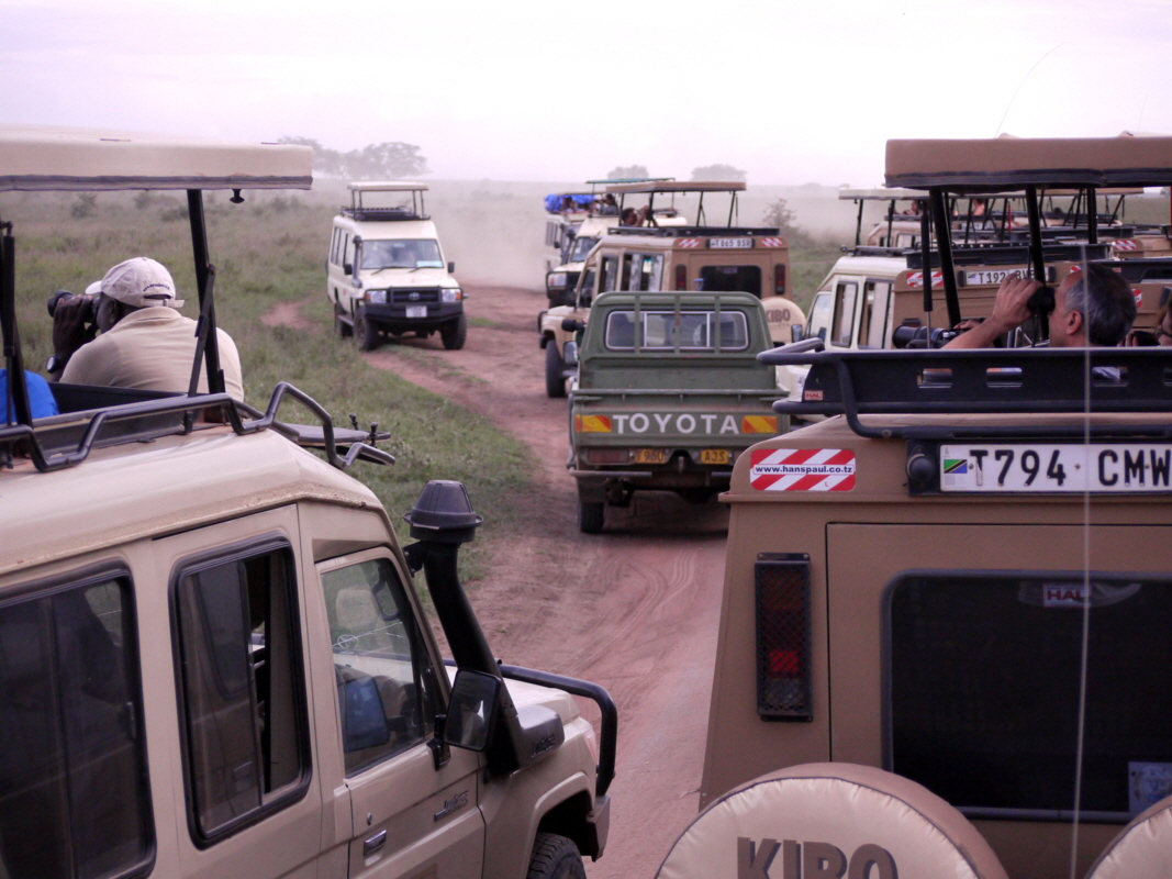 Kerngebiet  Seronera  Serengeti in der Nebensaison