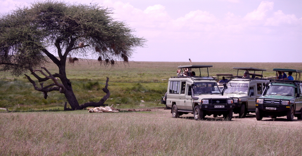 Serengeti Seronera Pirschfahrt